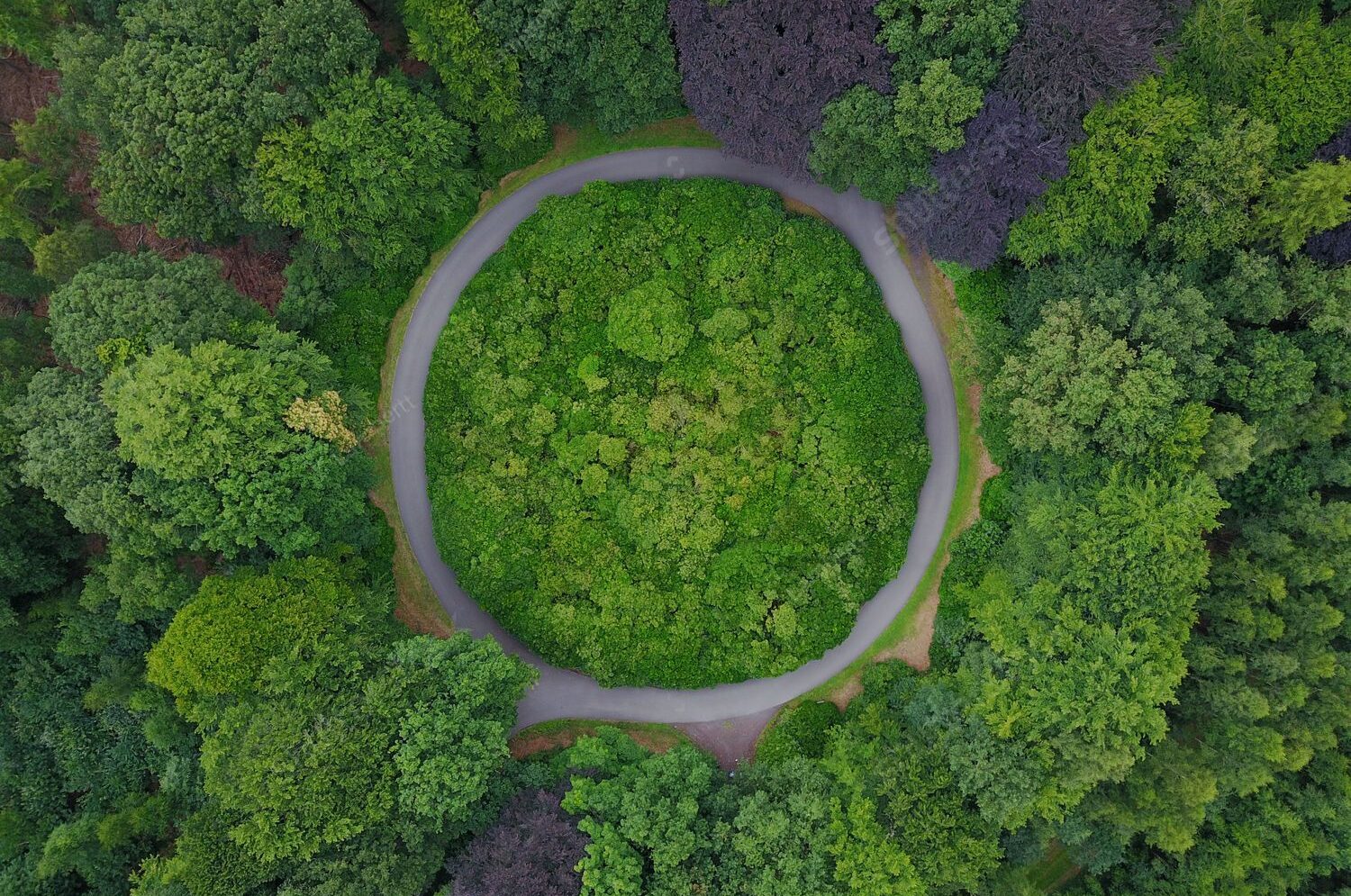 stock-photo-roundabout-in-the-middle-of-a-forest-in-belgium-circular-road-surrounded-by-trees-1614438151